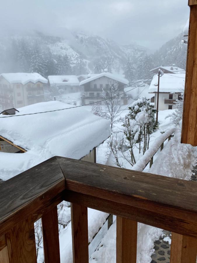 Studio Ebi Vacation - Alleghe - Monte Civetta Экстерьер фото