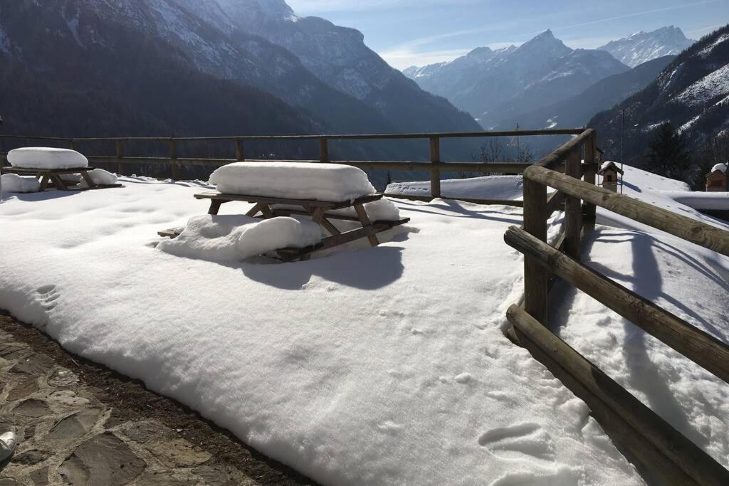 Studio Ebi Vacation - Alleghe - Monte Civetta Экстерьер фото