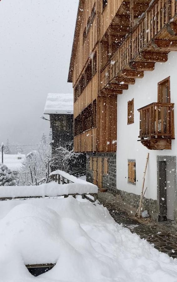 Studio Ebi Vacation - Alleghe - Monte Civetta Экстерьер фото