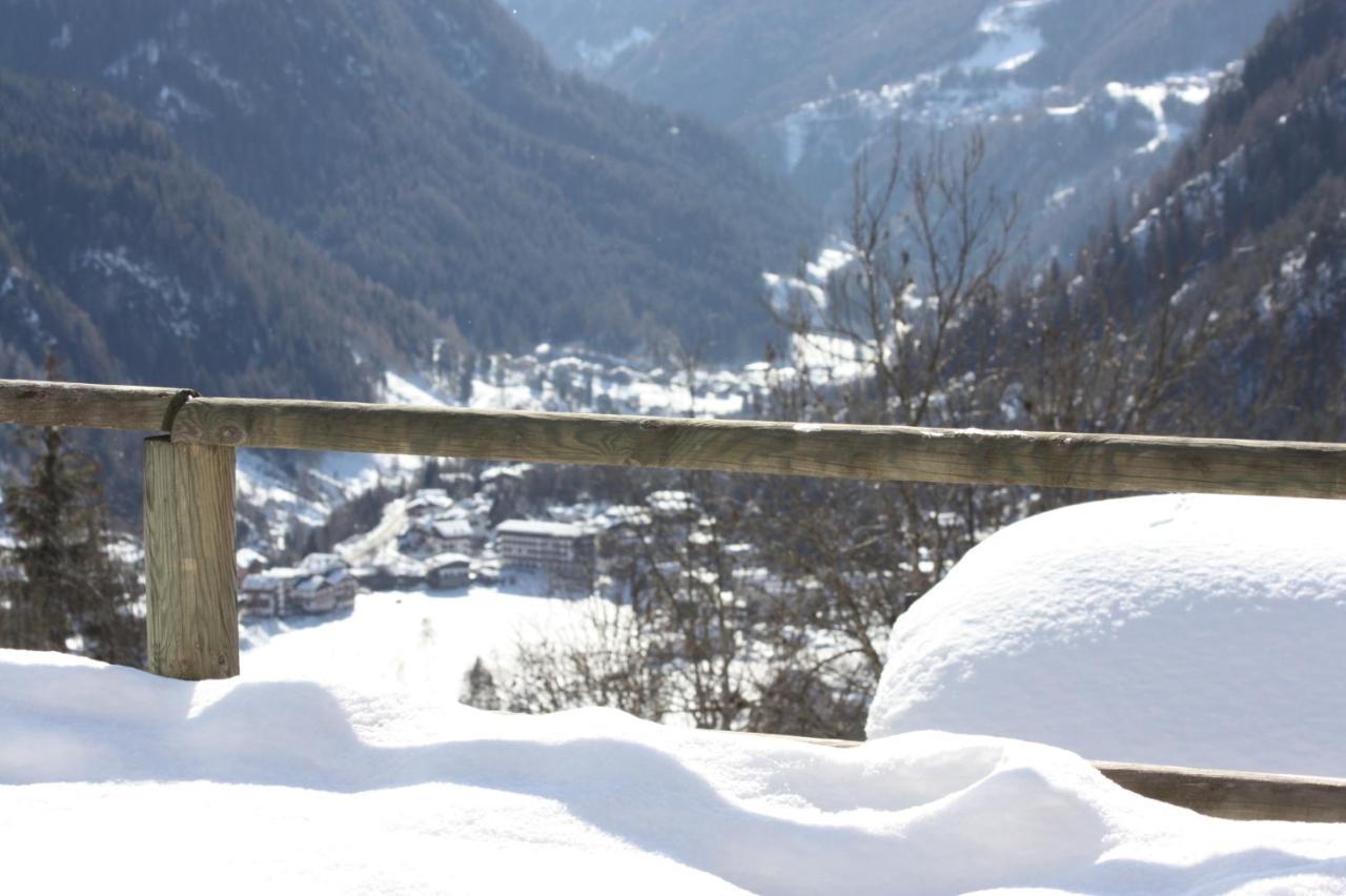 Studio Ebi Vacation - Alleghe - Monte Civetta Экстерьер фото