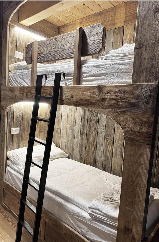 Studio Ebi Vacation - Alleghe - Monte Civetta Экстерьер фото